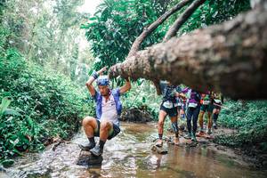 BIB: 
                            <button type="button" onclick="openModal(25375205)" class="btn btn-primary btn-sm float-right btn-popup" data-toggle="modal" data-target=".modal-high-quality">
                        <i class="fas fa-shopping-cart"></i> Add to Cart
                    </button>
                                            <button type="button" onclick="isThisMe(25375205, true)" class="btn btn-success btn-sm float-right btn-popup btn-isme hidden" data-toggle="tooltip" data-placement="bottom" title="นี่คือรูปของคุณใช่ไหม คลิกที่นี่เพื่อเอาเข้าอัลบั้ม">
                        <i class="fas fa-plus"></i> Add to album
                    </button>
                    <button type="button" onclick="isThisMe(25375205, false)" class="btn btn-warning btn-sm float-right btn-popup btn-isnotme hidden">
                        <i class="fas fa-ban"></i> Remove from album
                    </button>